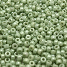 Rokail MATUBO beads 8/0 (03000/14457) - Křída zelená 10g
