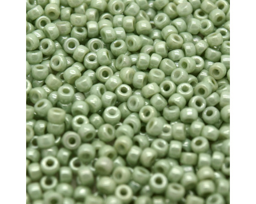 Rokail MATUBO beads 8/0 (03000/14457) - Křída zelená 10g