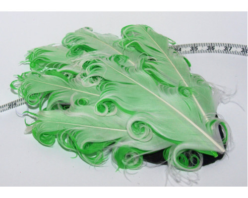Ozdobná peříčka na filcu pro výrobu čelenek a broží - bílá/zelená - 1kus