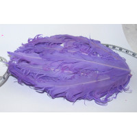 Ozdobná peříčka na filcu pro výrobu čelenek a broží - fialová lila - 1kus